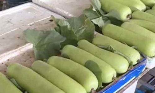 四人吃瓜视频,吃瓜视频笑料连连