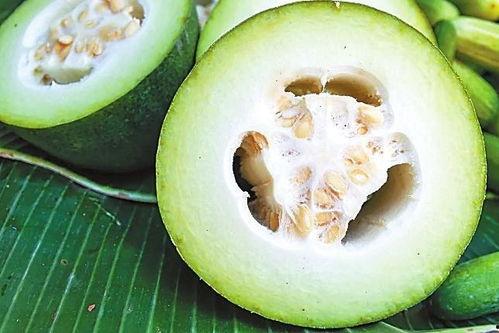 直播圣体吃古早瓜视频,圣体大快朵颐，现场观众直呼过瘾