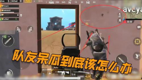 吃鸡呆瓜跳舞视频,搞笑舞蹈视频走红网络