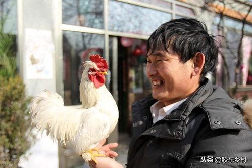 大衣哥吃瓜视频,揭秘娱乐圈幕后故事