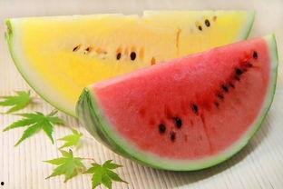 在里可以看吃瓜视频,带你领略网络娱乐新风尚