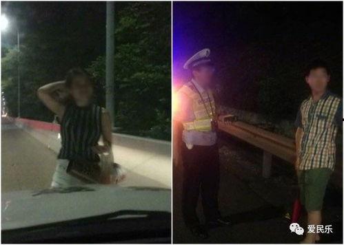 看戏吃瓜遛狗视频在线观看,在线观看看戏、吃瓜、遛狗的欢乐时光