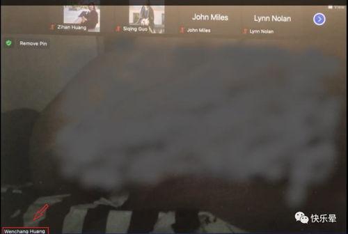 羊村吃瓜事件视频播放,一场网络狂欢背后的真相揭秘