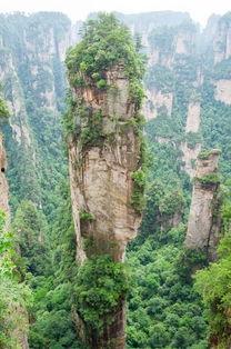 张家界吃瓜结局视频播放,视频播放背后的惊人结局揭秘