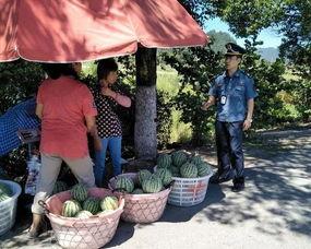 靖远吃瓜群众视频最新,最新视频事件揭秘