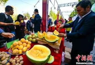 四川结婚吃瓜最新视频,趣味横生的婚礼瞬间大盘点