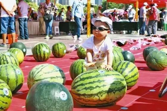 河南洛阳吃瓜事件视频最新,一场网络热议背后的真相揭秘